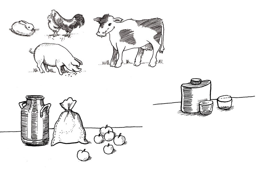 brainbreak Illustrationen Referenz