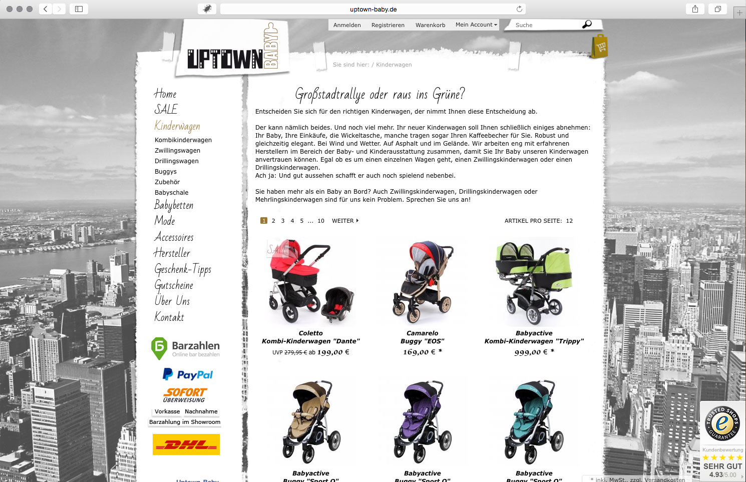 brainbreak Onlineshop Referenz