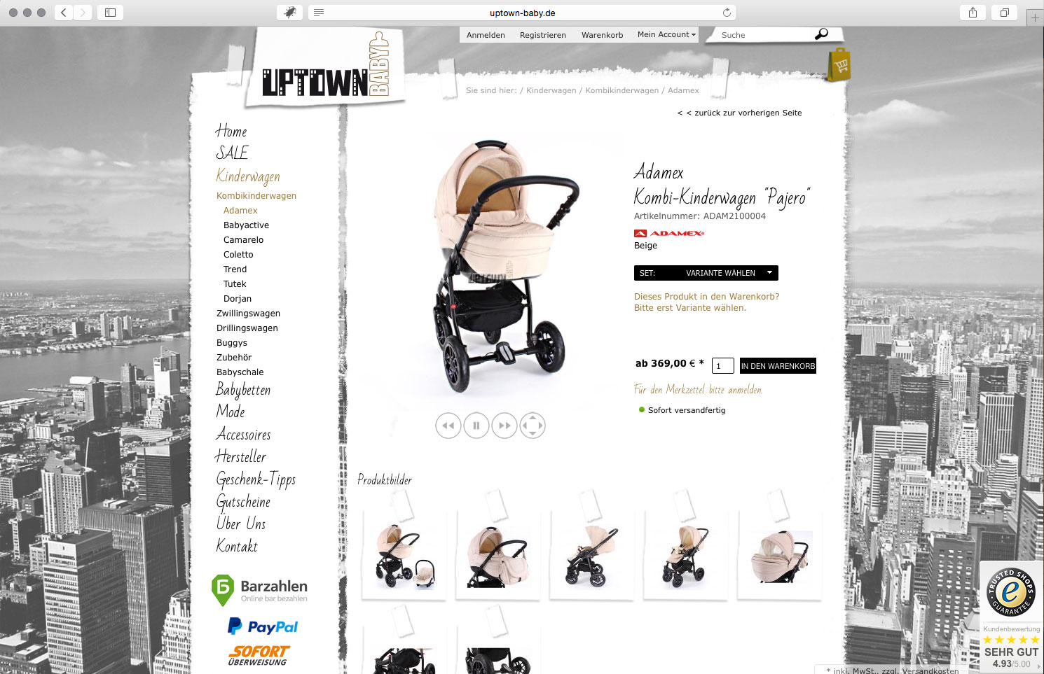 brainbreak Onlineshop Referenz